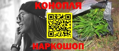 хмурый Новозыбков