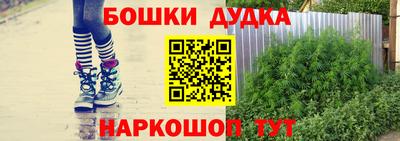 соль ск Новодвинск