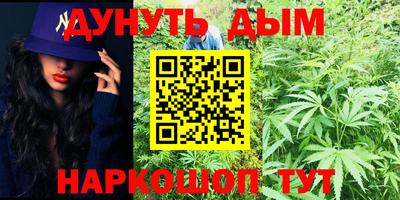 шишки Нарткала