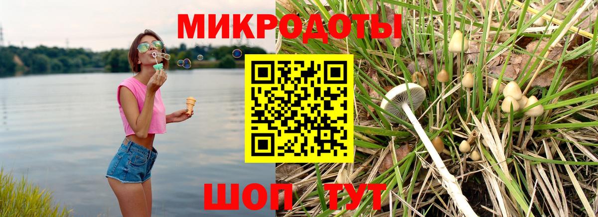 Сунжа  магазин  наркотиков  Вход с VPN  Псилоцибиновые грибы MAGIC MUSHROOMS 
